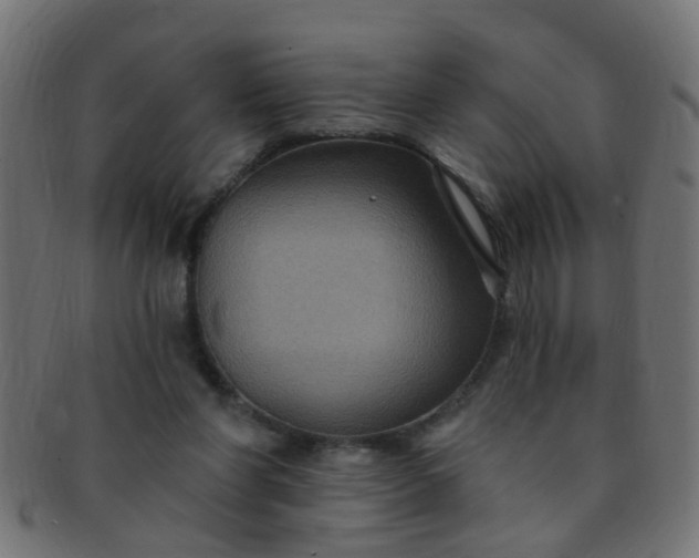 X0000091730206200709071508