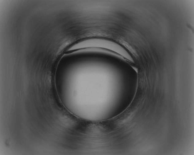 X0000091730207200709071508