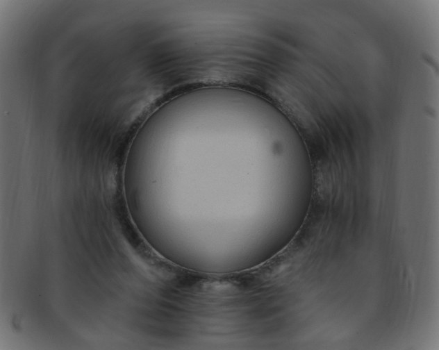 X0000091730208200709071508