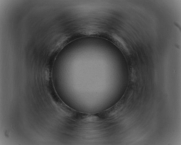 X0000091730210200709071508