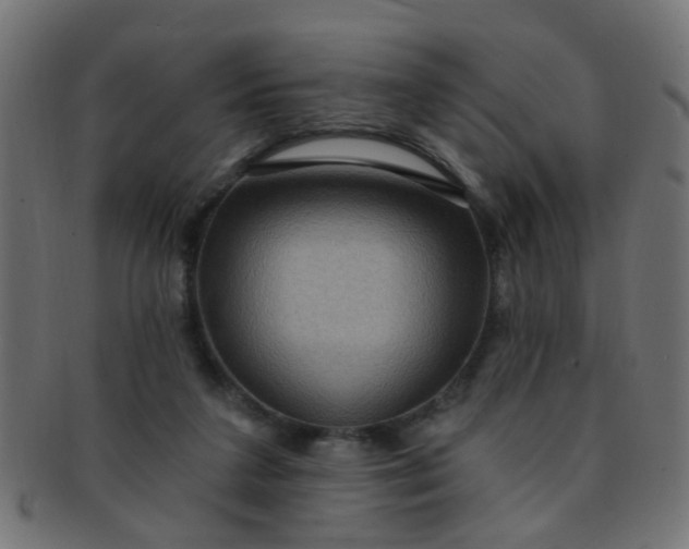 X0000091730211200709071508