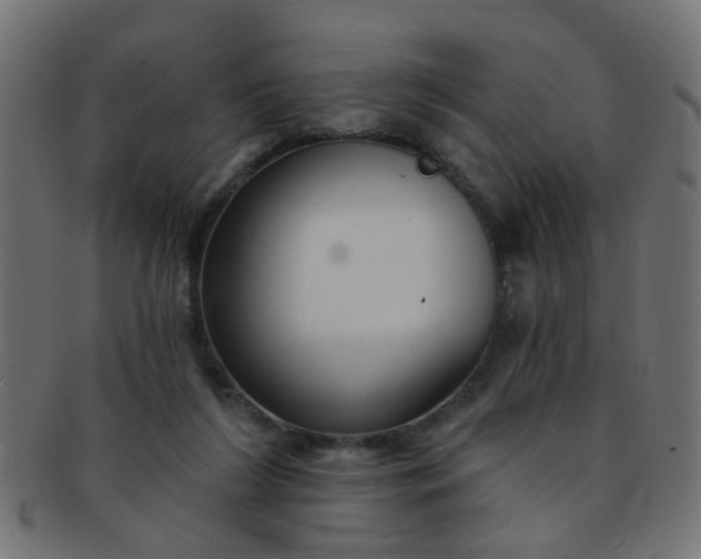 X0000091730212200709071508