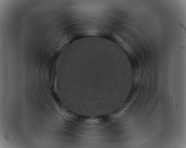 X0000091730213200709071508