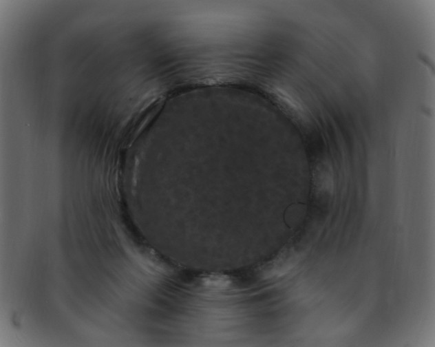 X0000091730214200709071508