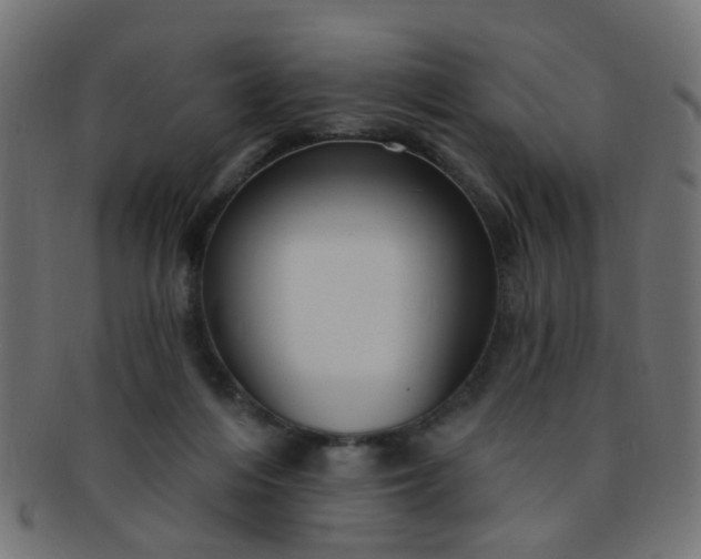 X0000091730216200709071508