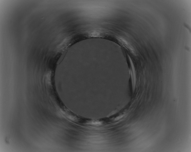 X0000091730217200709071508