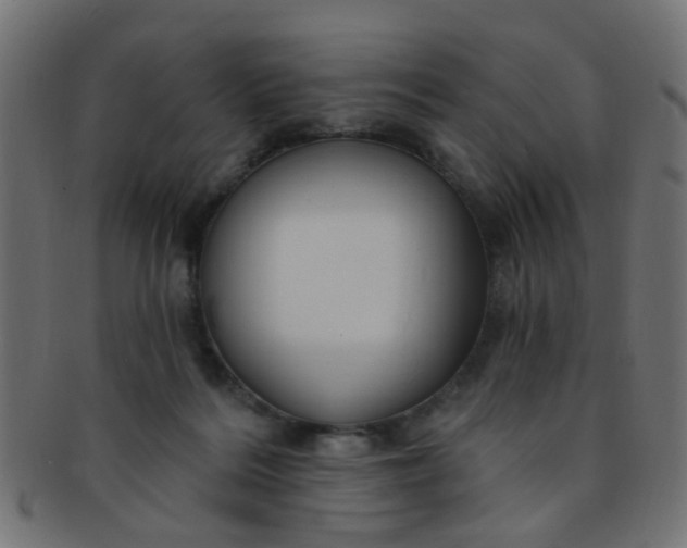 X0000091730220200709071508