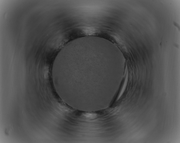 X0000091730221200709071508