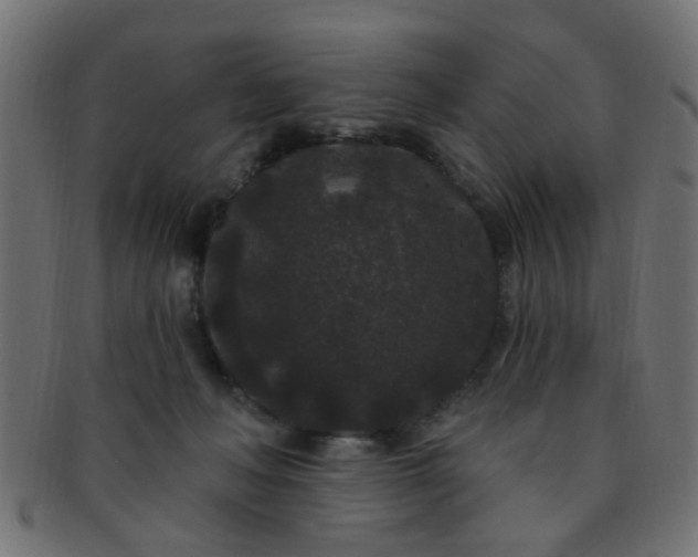 X0000091730222200709071508