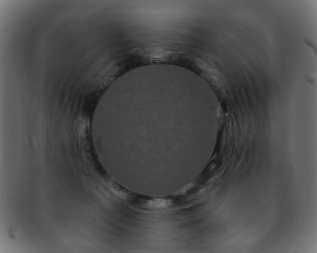 X0000091730225200709071508