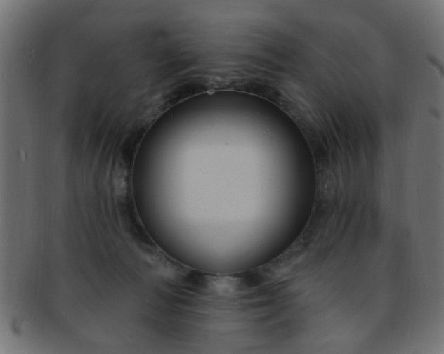 X0000091730226200709071508