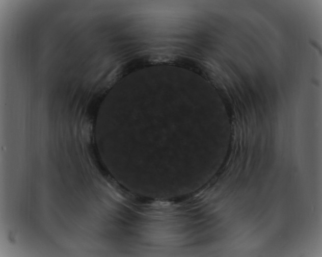 X0000091730227200709071508