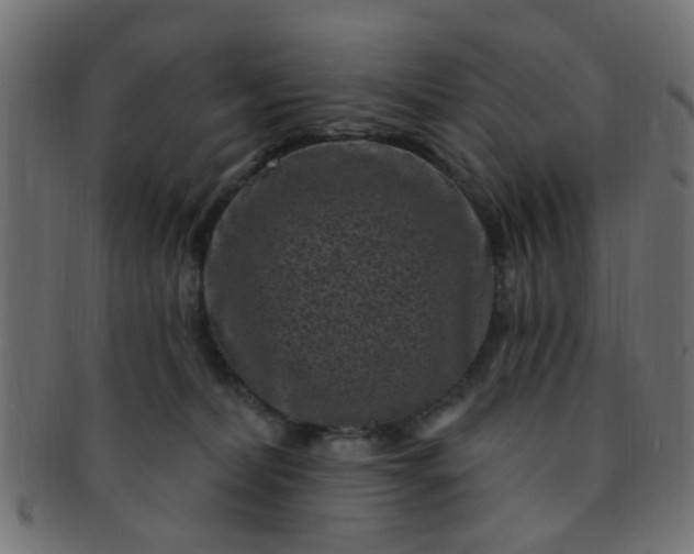 X0000091730228200709071508