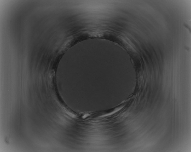 X0000091730229200709071508