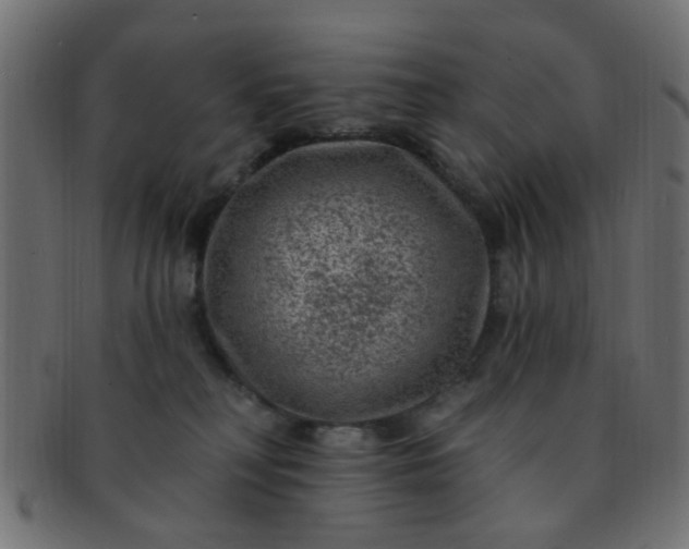 X0000091730230200709071508