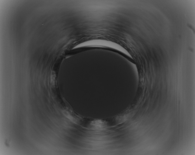 X0000091730231200709071508