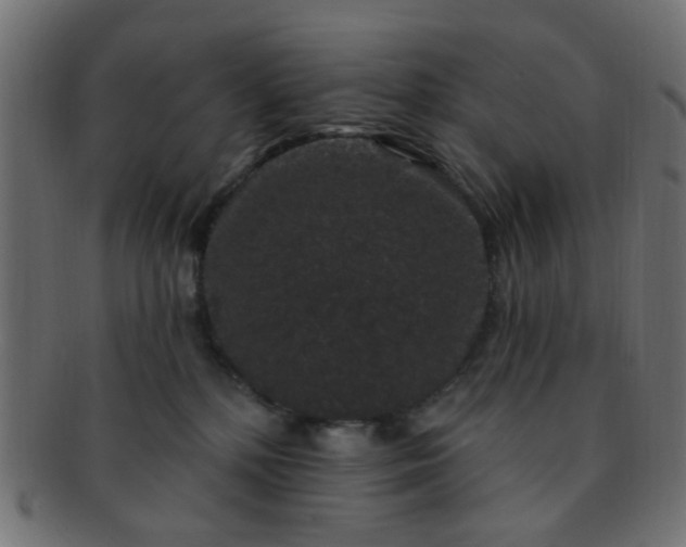 X0000091730232200709071508