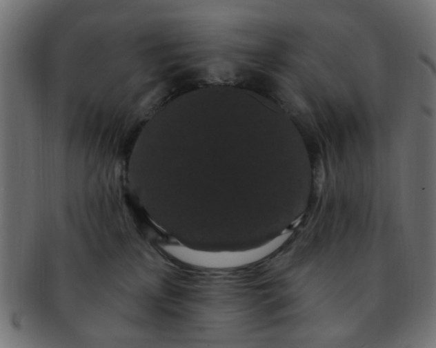 X0000091730233200709071508