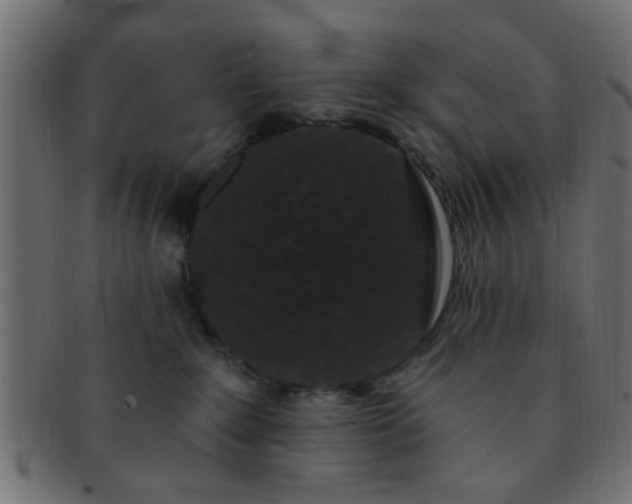 X0000091730235200709071507