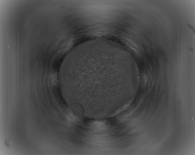 X0000091730236200709071507