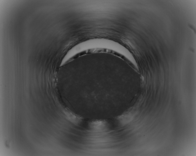 X0000091730237200709071507