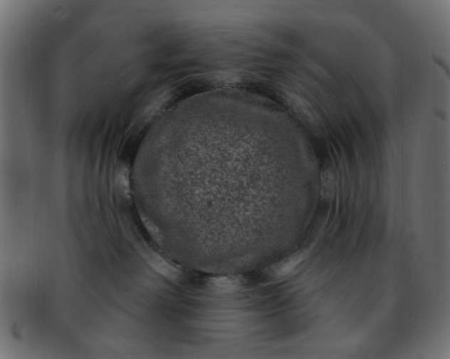 X0000091730238200709071507