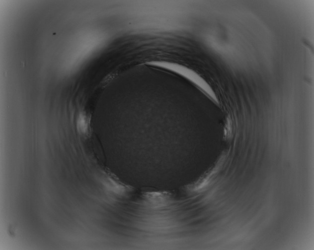 X0000091730239200709071507