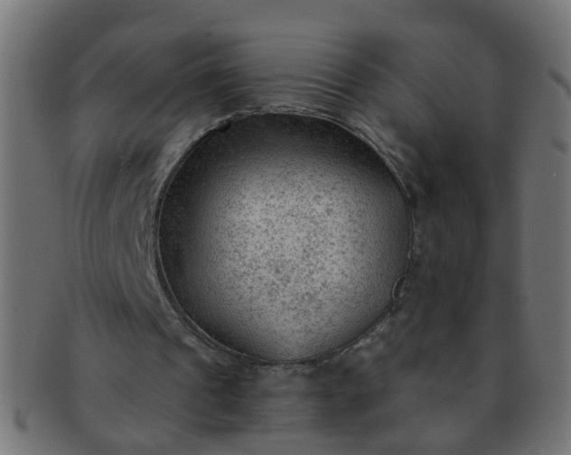 X0000091730241200709071507