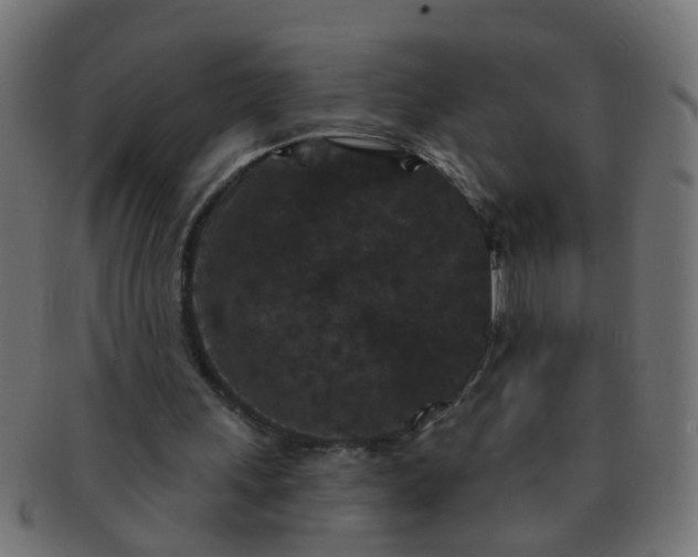 X0000091730243200709071507