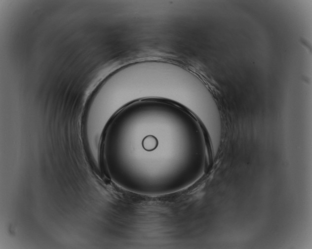 X0000091730244200709071507