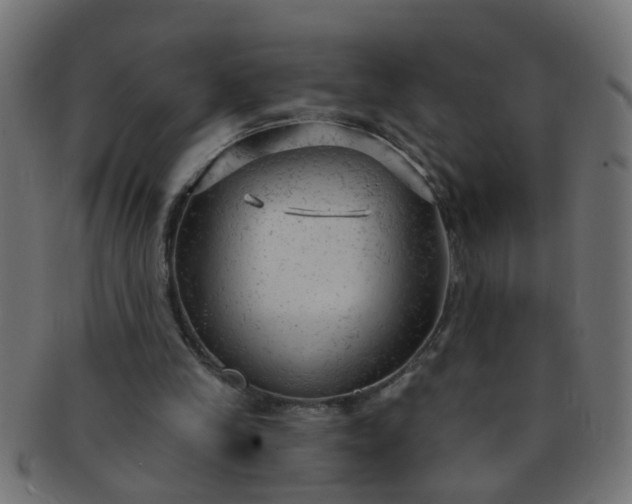 X0000091730245200709071507