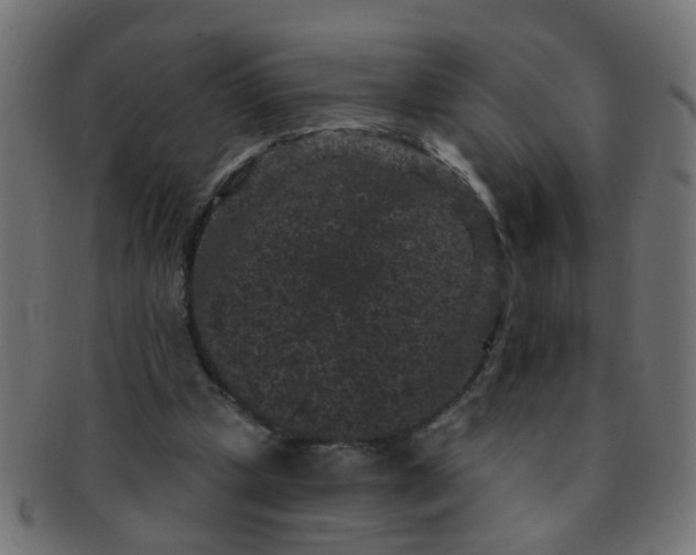 X0000091730249200709071507