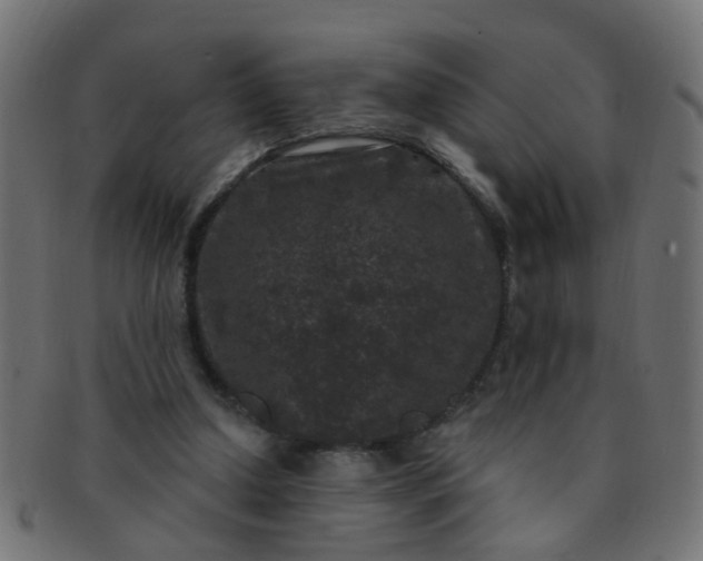 X0000091730250200709071507