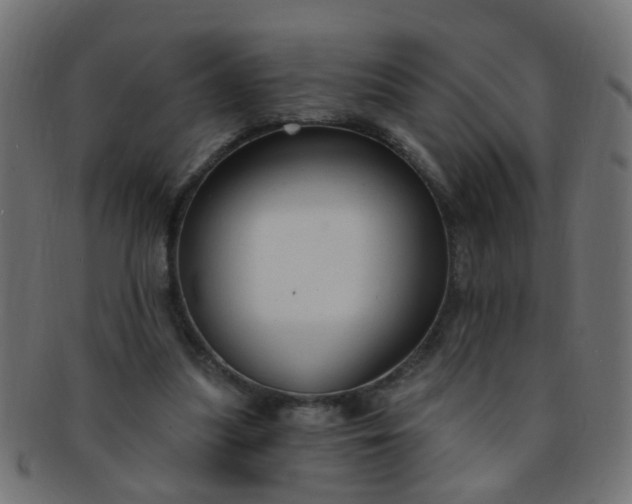 X0000091730251200709071507