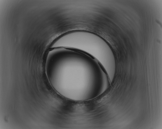 X0000091730252200709071507