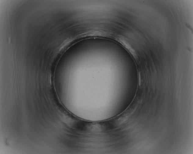 X0000091730253200709071507