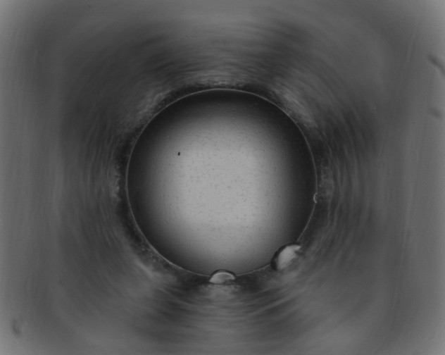 X0000091730255200709071507