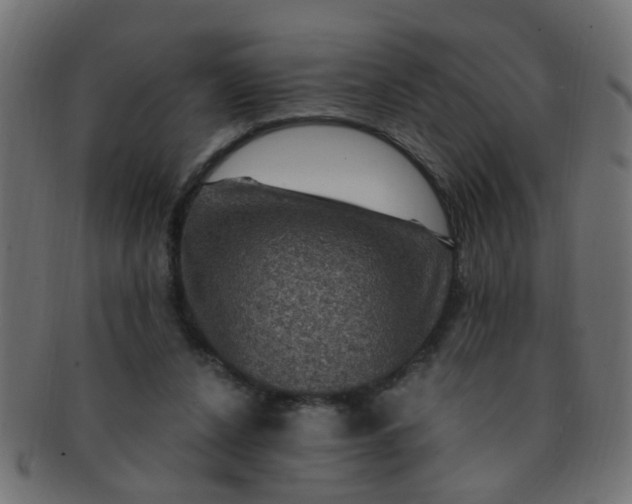 X0000091730256200709071507