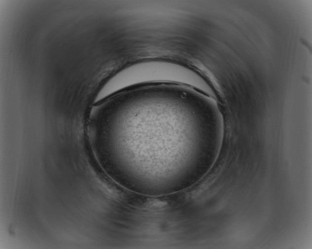 X0000091730257200709071507