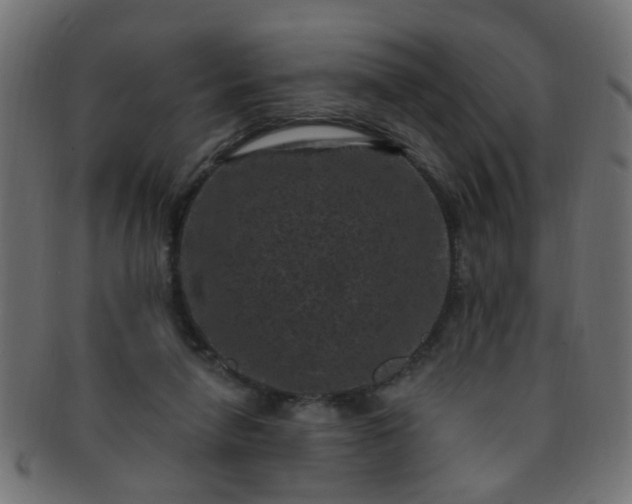 X0000091730258200709071507