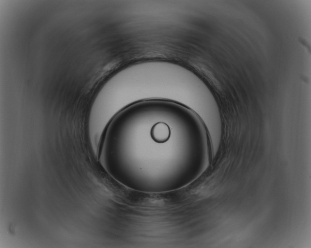 X0000091730260200709071507