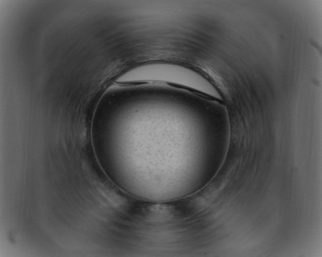 X0000091730261200709071507