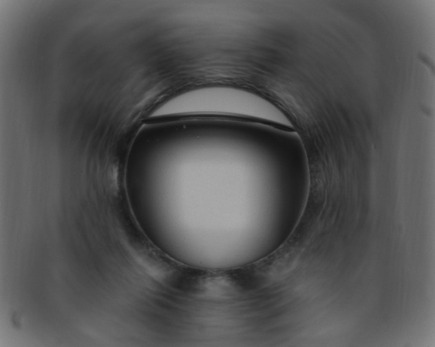 X0000091730262200709071507