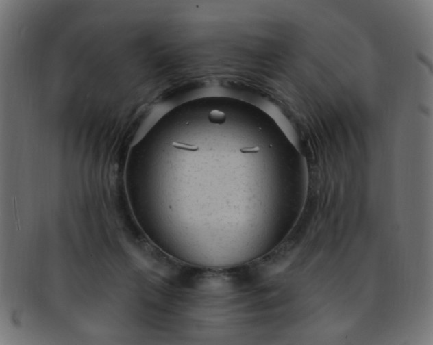 X0000091730263200709071507