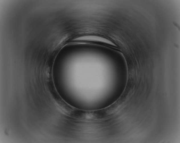 X0000091730264200709071507