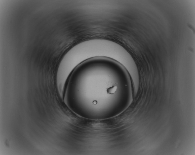 X0000091730268200709071507