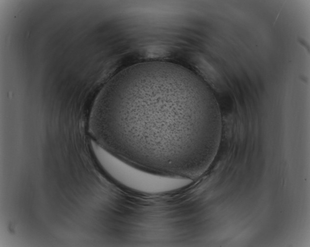 X0000091730269200709071507