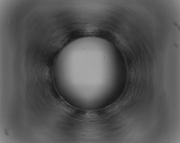 X0000091730270200709071507