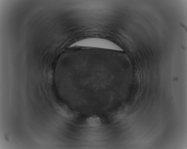 X0000091730271200709071507