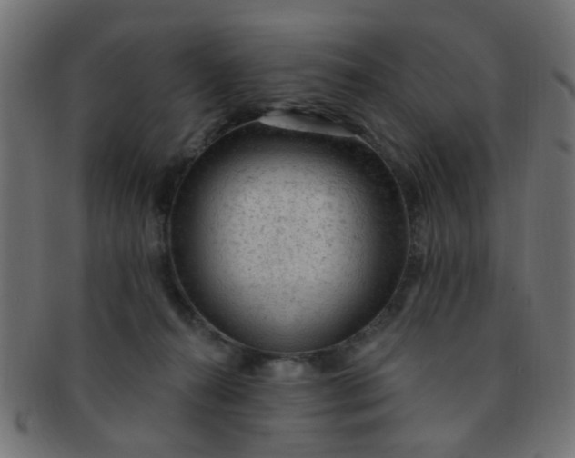 X0000091730272200709071507